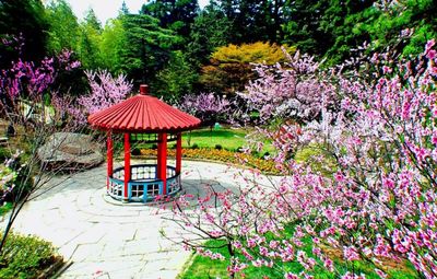 廬山景區(qū)今日起恢復(fù)開放!疫情期間游覽這些事要清楚!