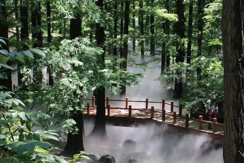 端午期間,北京市公園管理中心推薦16處網紅打卡地