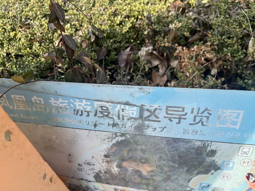 記者在現(xiàn)場 導(dǎo)覽裝置無人維護(hù) 市民呼吁加強管理