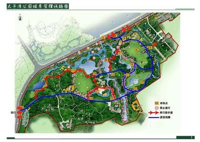 今年去太子灣公園賞櫻觀郁金香要提前預(yù)約!預(yù)約分上下午場(chǎng),每場(chǎng)人數(shù)5000