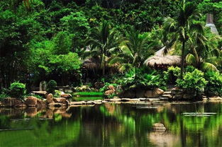 在溫暖保亭遇見那香山，探索大三亞旅游經濟圈的景區管理之道